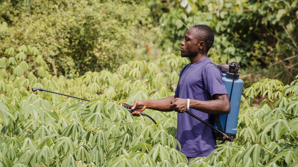 Fertilizers and Agricultural Pesticides
